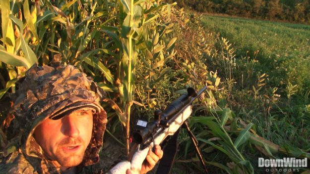 Coyote Hunting Video