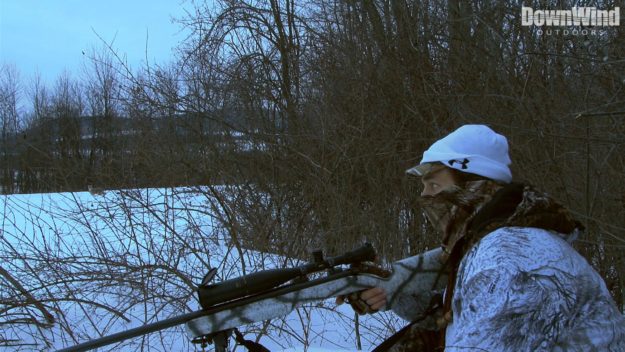 Coyote Hunting Video
