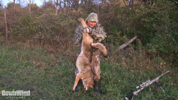 Coyote Hunting Video