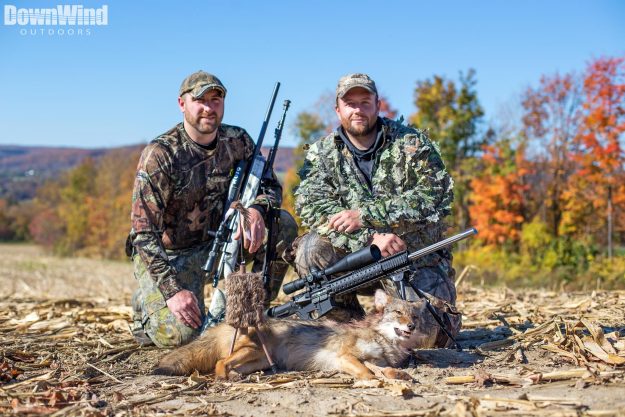 Coyote Kill