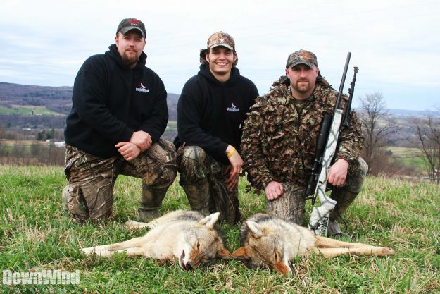 Coyote Tactics