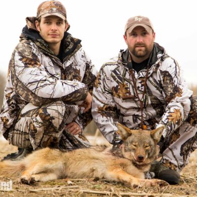 Coyote Hunting
