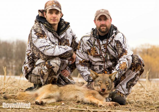 Coyote Hunting