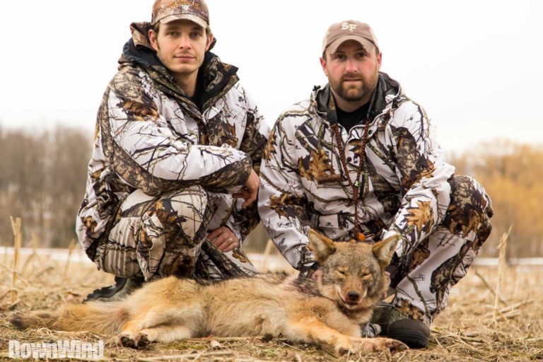 Coyote Hunting
