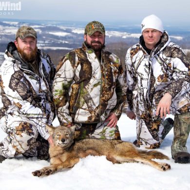 Gus Congemi's Coyote