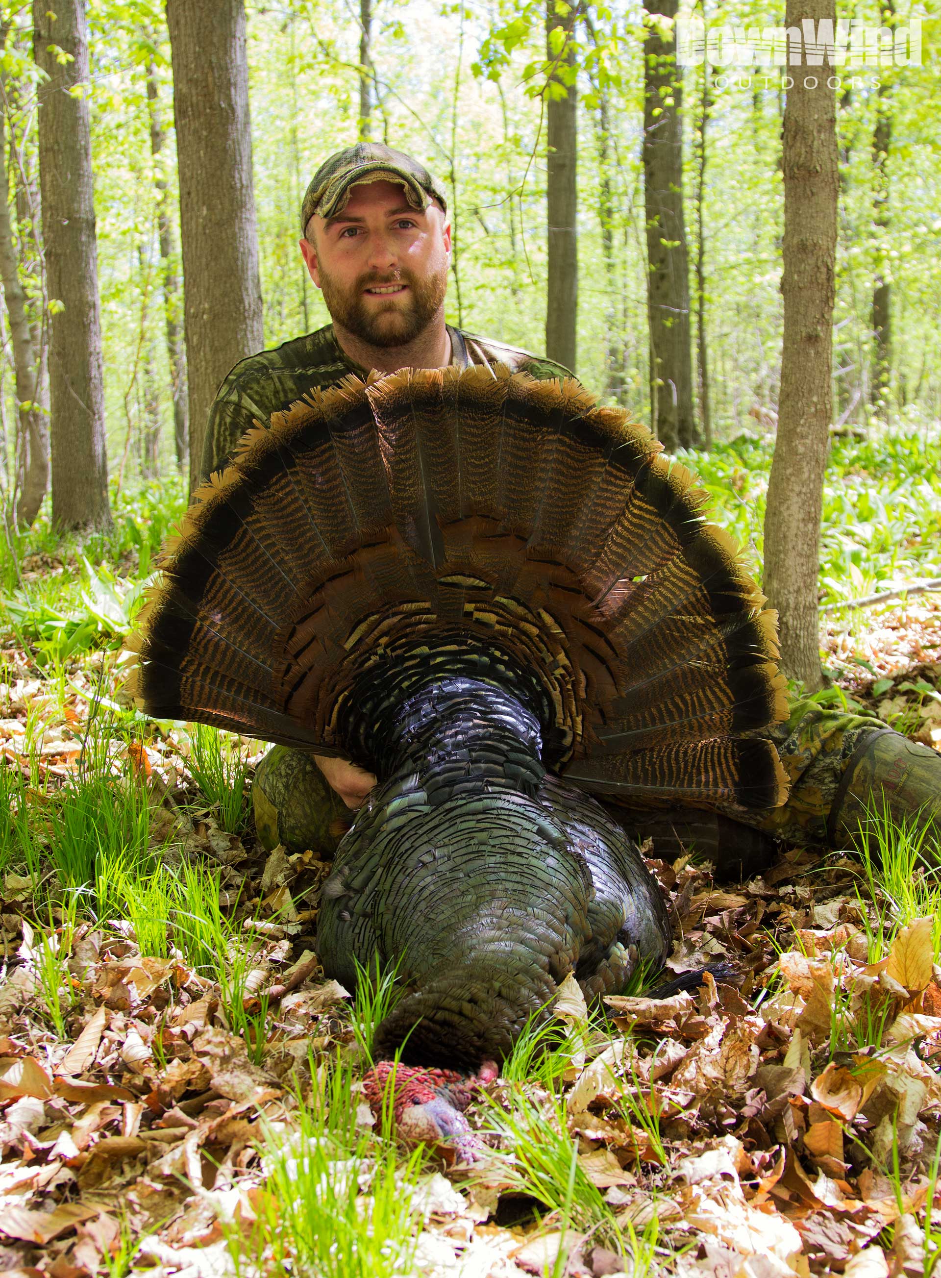 Turkey Hunting Pictures Downwind Outdoors