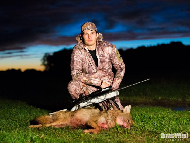 eastern coyote hunting