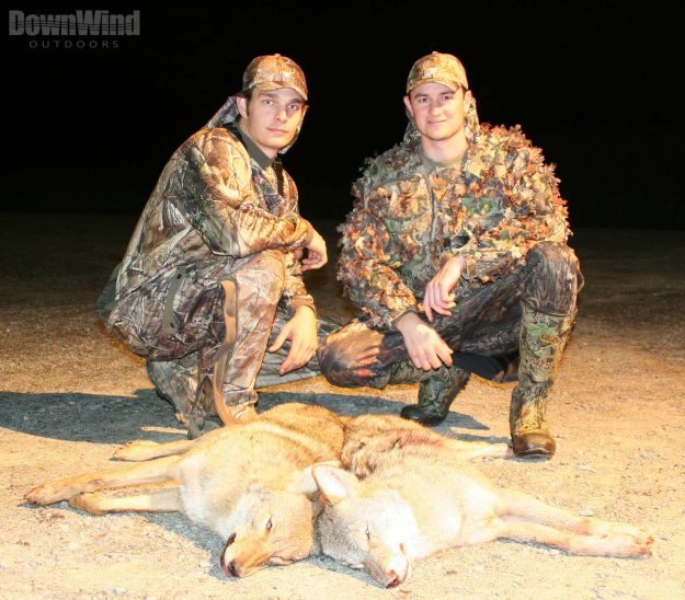 Double Coyotes
