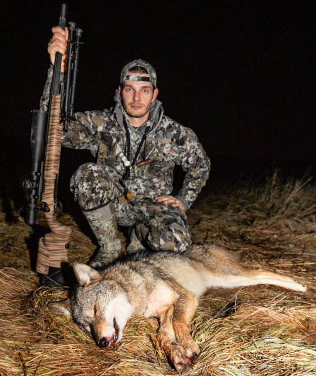 Coyote