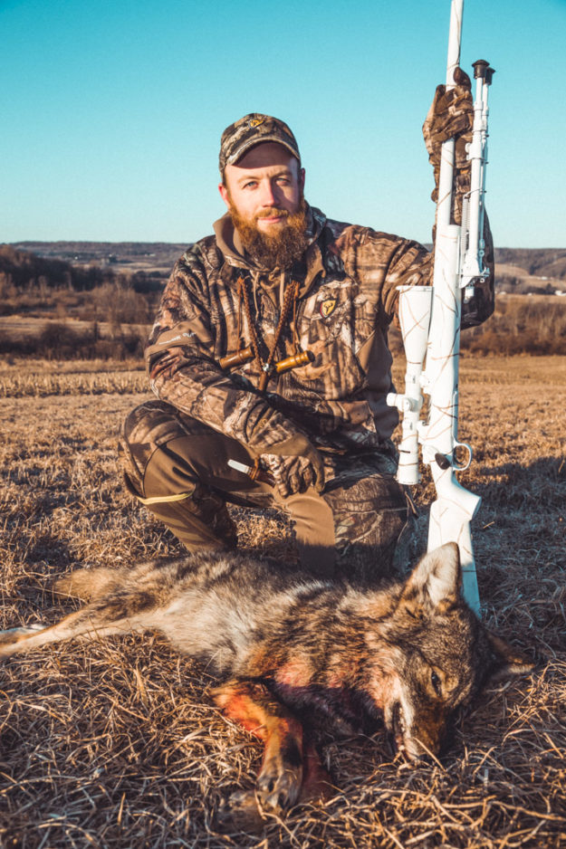 Coyote