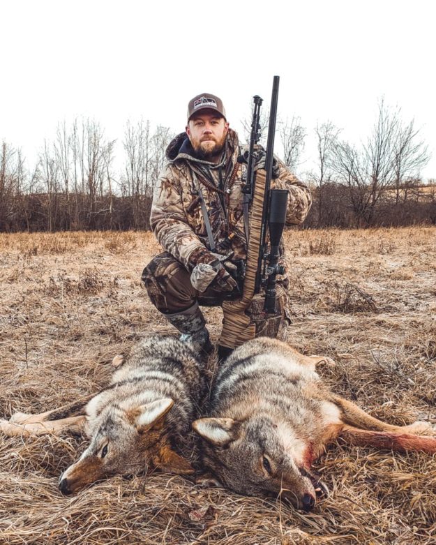 Coyotes