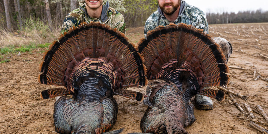 Trophy Book Eastern Turkeys