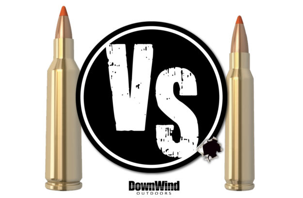 22-250 vs 223 Predator Calibers