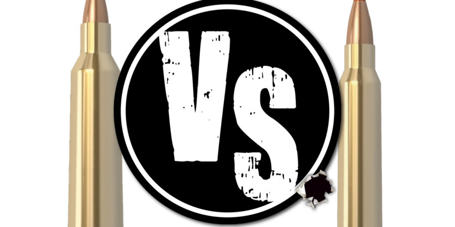 22-250 vs 223 Predator Calibers