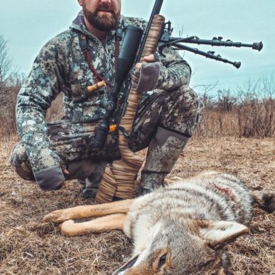 Coyote Hunting