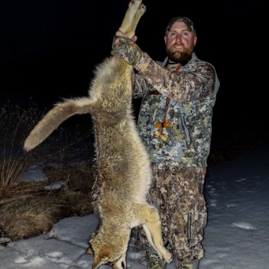 Coyote Hunting